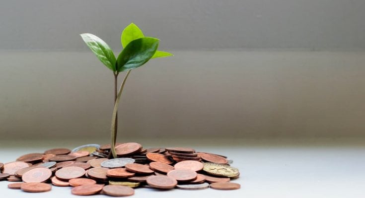 plant growing from money