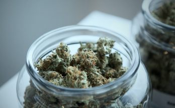 cannabis in a jar